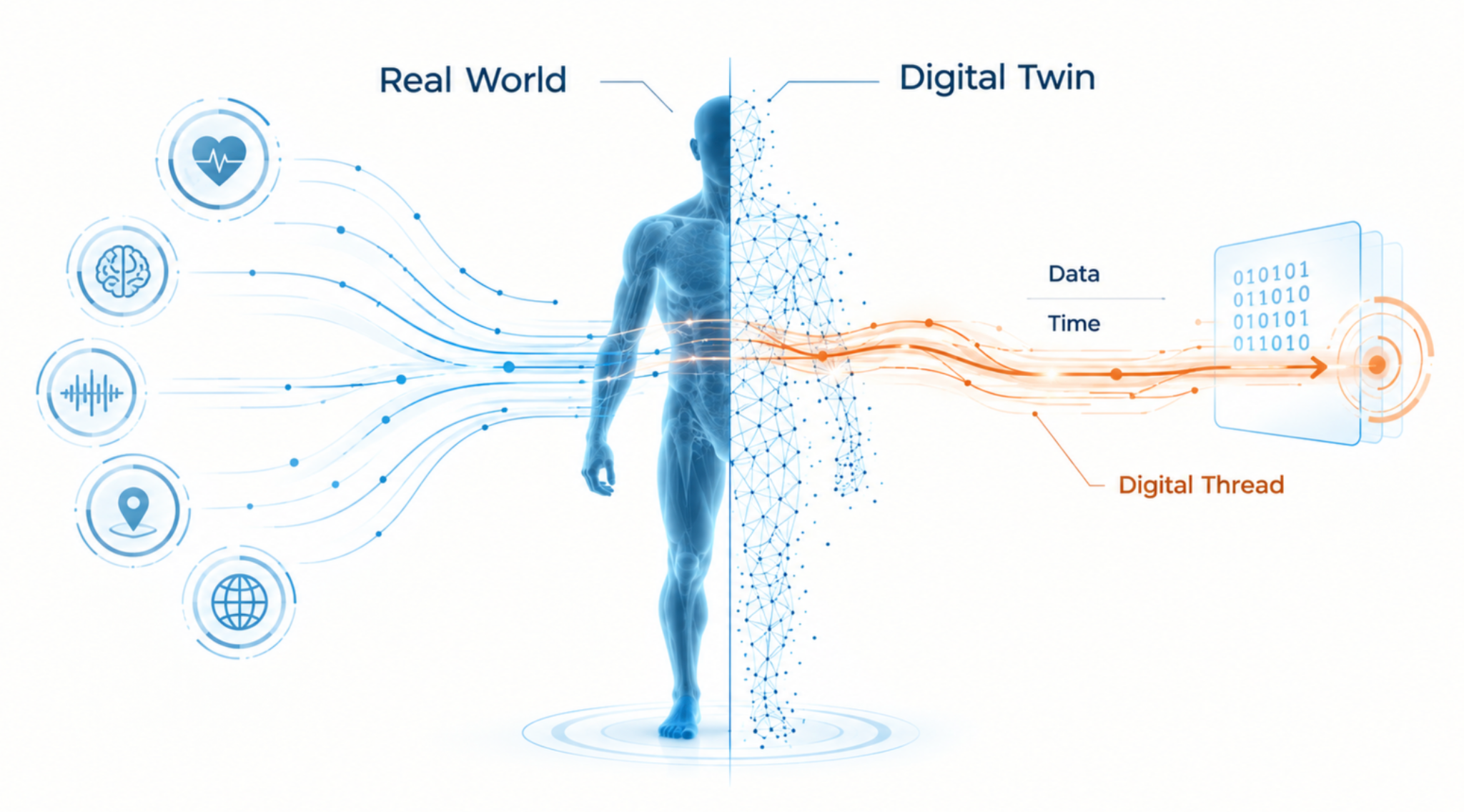Physical observations connected to a digital twin through data and time